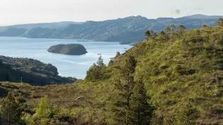 Aerial view of Kinloch Woodland, showing a body of water, hills, trees and blue sky