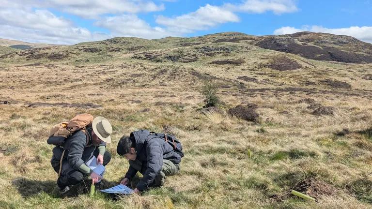 A student identifies a newly planted tree sapling at Drumbrae