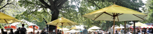 srs_festival_microsite_banner_0
