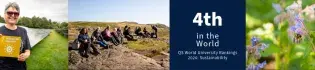 Photo collage of a person posing next to a solar farm, a group of students sat on a grassy hillside and a bee on a wildflower. Text reads: 4th in the world QS World University Rankings Sustainability 2026