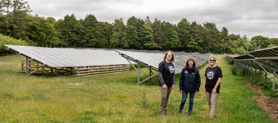 Three people standing in front of solar panels within a field