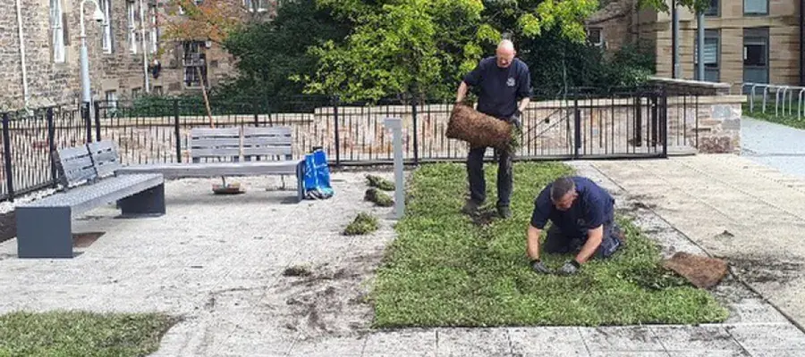 Landscape team laying wildflower turf at Buccleuch Place