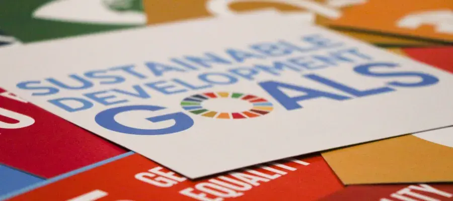 SDG cards scattered
