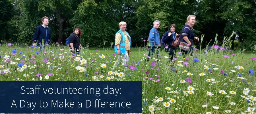 Staff volunteering day: A Day to Make a Difference - volunteers walking through flower meadow