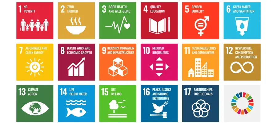 Sustainable Development Goals (SDGs) grid