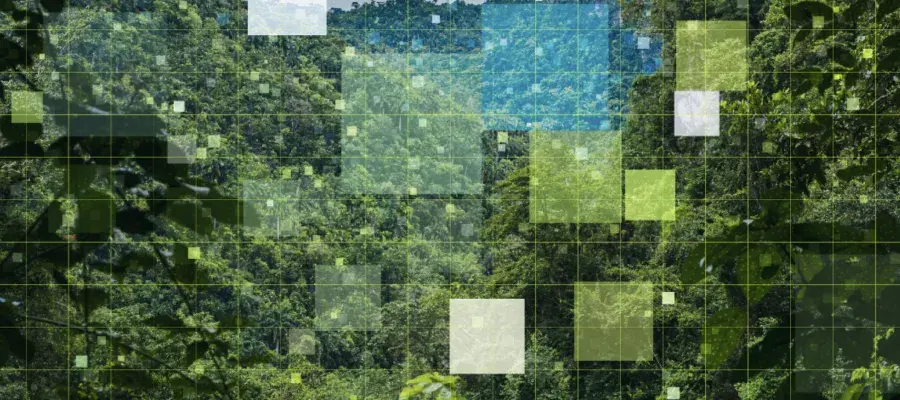Sustainability in research: Using AI’s power to fight climate change