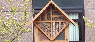 Bug hotel University Estate
