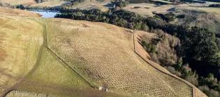 Aerial photography of planting at Rullion Green Wood in the Pentland Hills 2025
