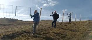 Friends of the Pentlands volunteers at Rullion Green Wood