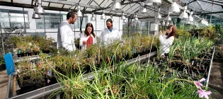 Biological Sciences  Glasshouses provide plant growth facilities. [Paul Dodds]