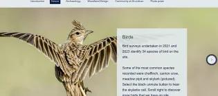Drumbrae storymaps page of a bird