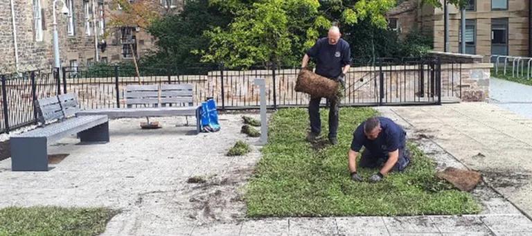 Landscape team laying wildflower turf at Buccleuch Place