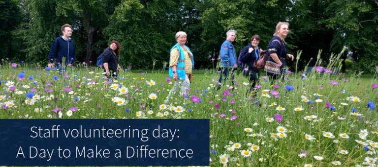 Staff volunteering day: A Day to Make a Difference - volunteers walking through flower meadow