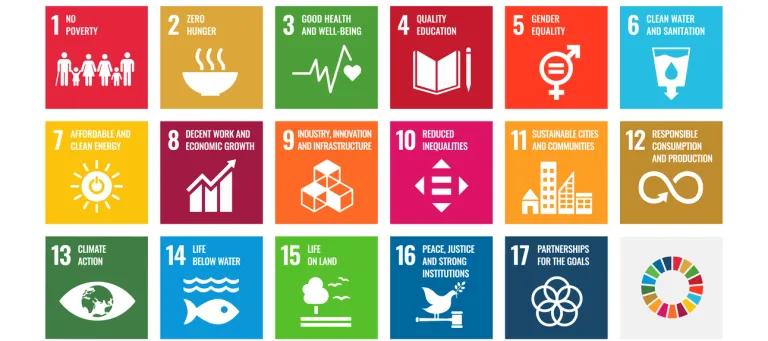 Sustainable Development Goals (SDGs) grid