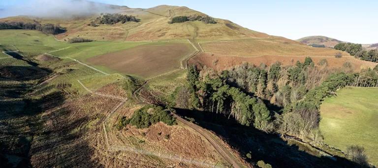 Rullion Green Wood aerial view