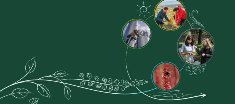 graphic showing illustration of flowers, leaves and photos of: a bee on a plant, two people talking, two people looking at a plant, one engineer at an industrial plant.