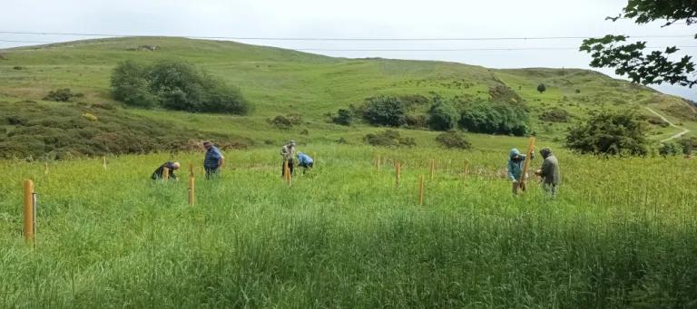 People working in a field with trees in tubes.