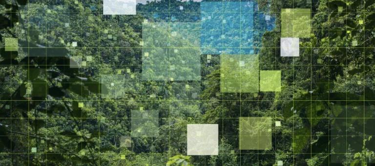 Sustainability in research: Using AI’s power to fight climate change
