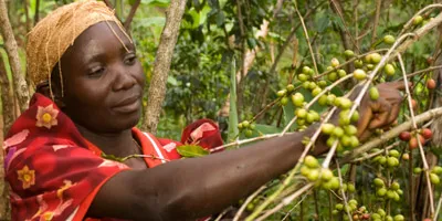 fairtrade worker