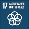 Sustainable Development Goal (SDG) 17: Partnerships for the goals