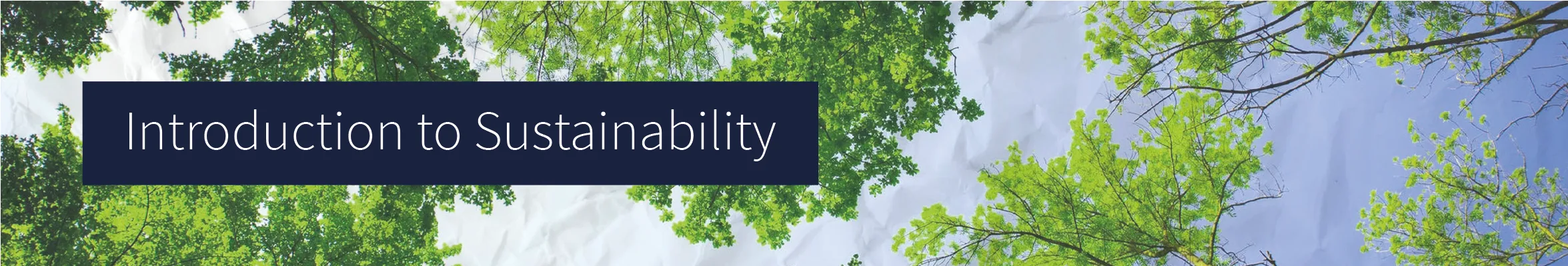 'Introduction to Sustainability', trees against paper texture