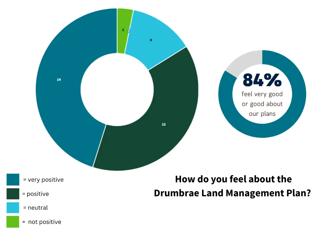Drumbrae consultation pie chart