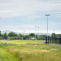 A photo showing long grasses and flowers near to a pitch and playing fields