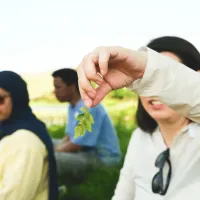 A person holds some leaves up to the camera.