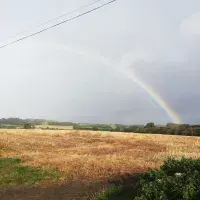 Rainbow over fields