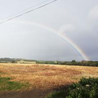 Rainbow over fields