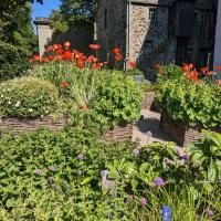 Car free commute: Wildflower garden