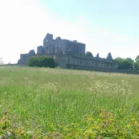 Castle and meadow