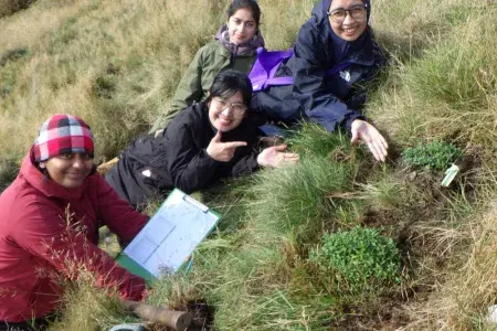Volunteers showing newly planted common rock rose.