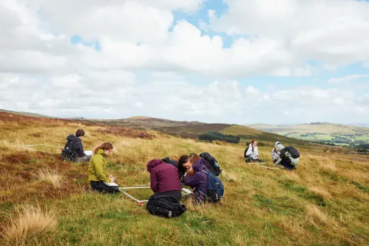 Groups of people sitting around quadrats which have been placed in a grassy field.