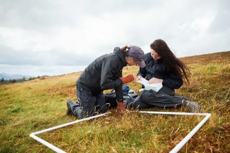 Two people sitting next to a quadrat which has been placed on the grass, looking at a book.