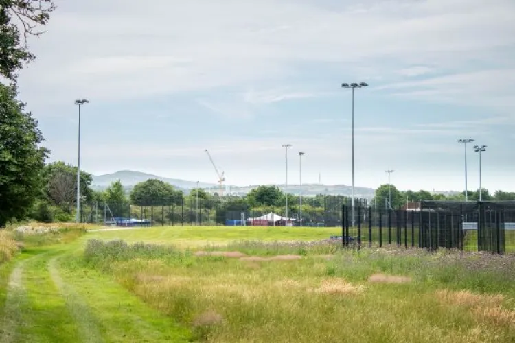 A photo showing long grasses and flowers near to a pitch and playing fields
