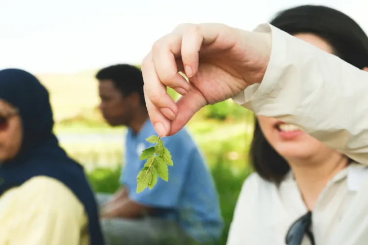 A person holds some leaves up to the camera.