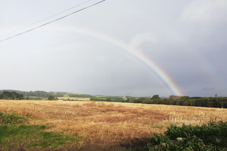 Rainbow over fields