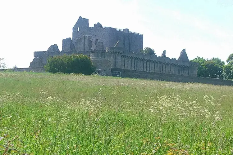 Castle and meadow