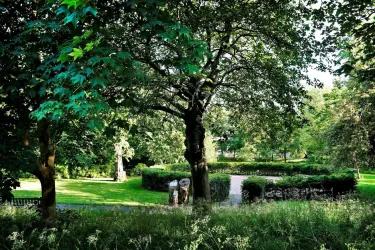 A greenspace with trees and a circular hedge
