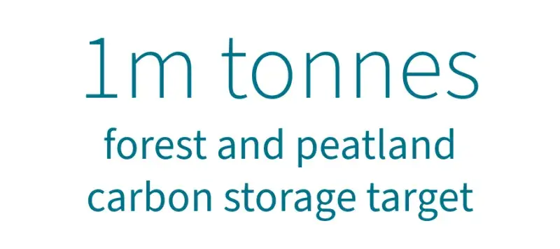 1 million tonne forest and peatland carbon storage yearly target