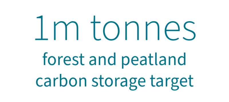 1 million tonne forest and peatland carbon storage yearly target