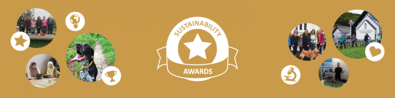 Sustainability Awards 2019-20 online celebration montage of photos from projects