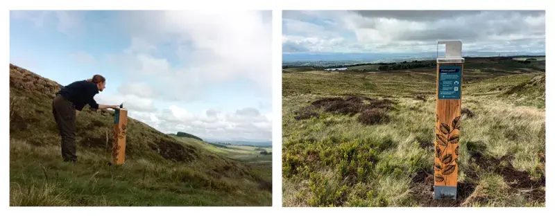 Photo posts side by side, demo and view, location 2