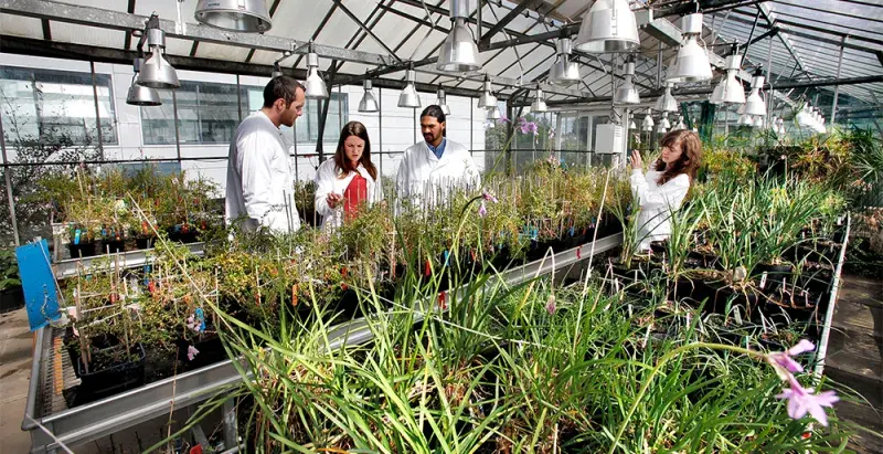 Biological Sciences  Glasshouses provide plant growth facilities. [Paul Dodds]