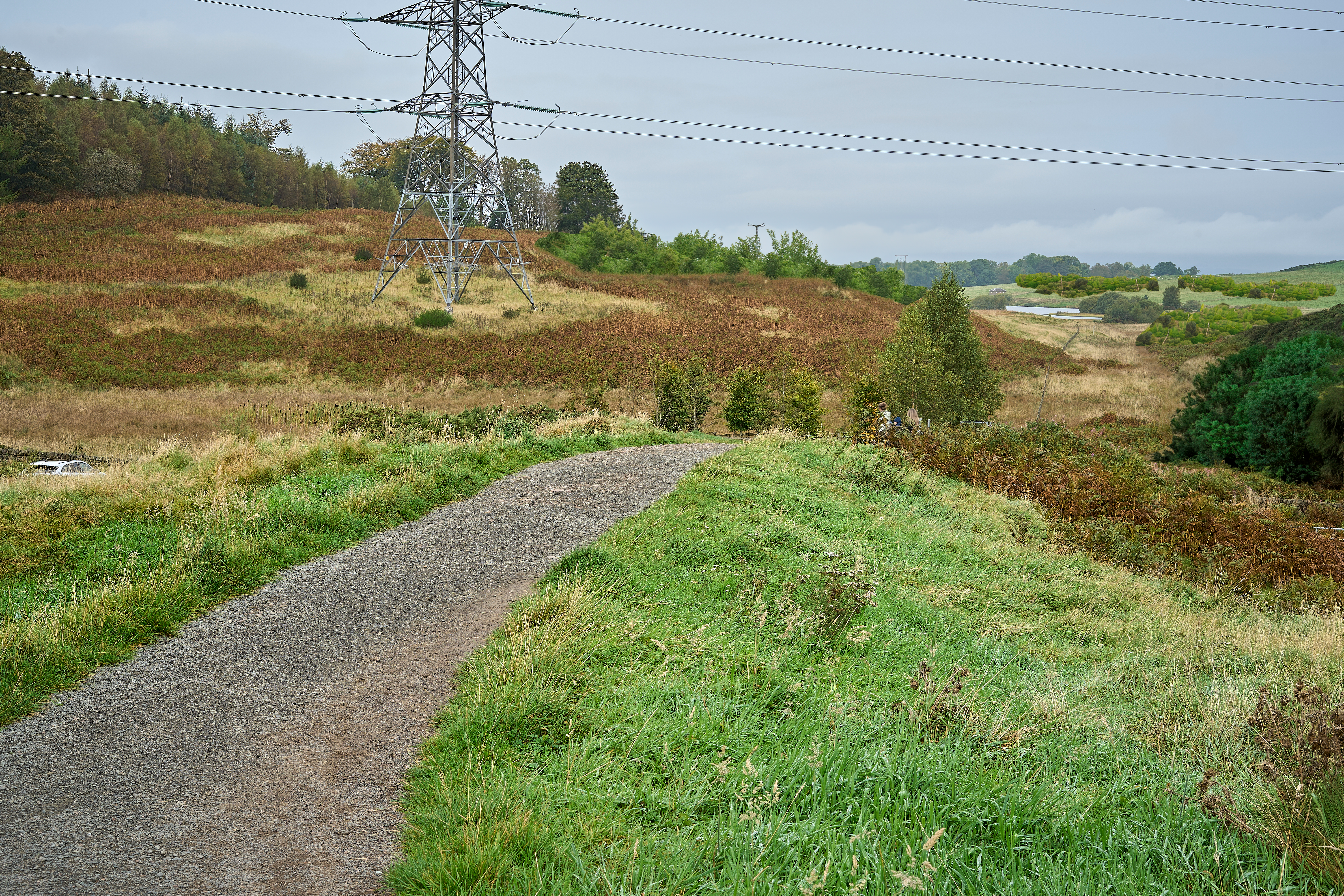 Drumbrae AI View North from gate