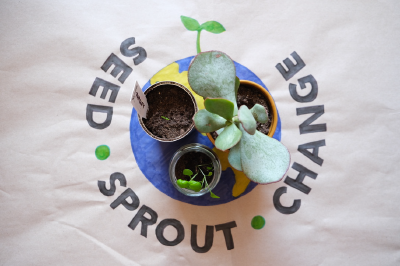 Seed sprout change