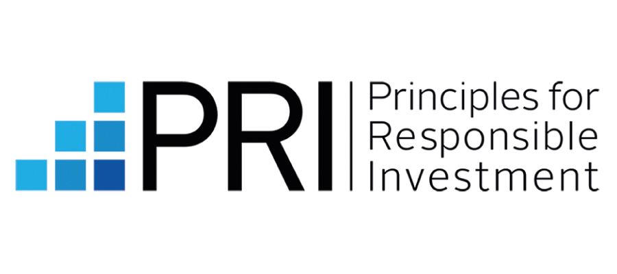 UN PRI logo